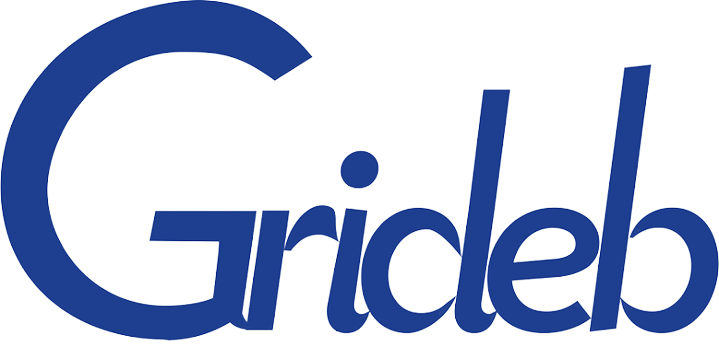Grideb: Empowering MLM and Network Marketing with Cutting-Edge Software Solutions